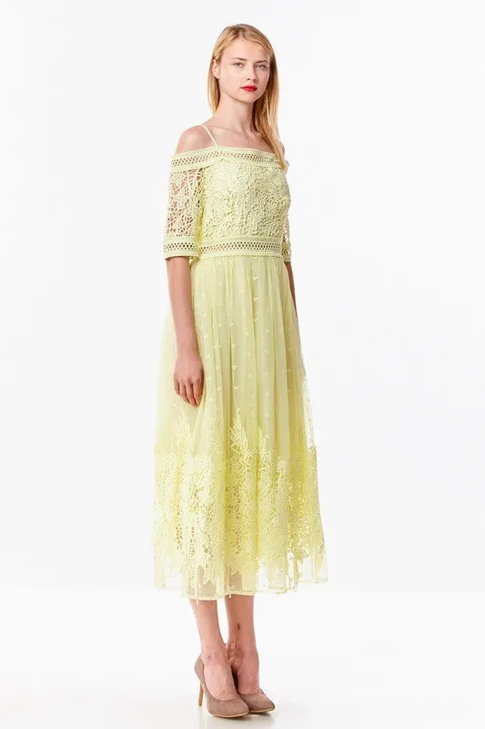 Elegant Open Shoulder Lace Dress